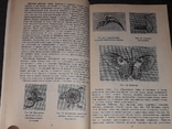 Е. Д. Кашкарьова-Герцог - Рукоділля, 1993, фото №6