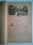 Kislovodsk Park. Guide. 1958 g., photo number 4