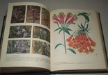 Жизнь растений в шести томах. (Под ред. проф. М. В. Горленко), фото №5