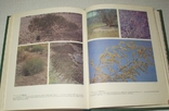 Жизнь растений в шести томах. (Под ред. проф. М. В. Горленко), фото №7