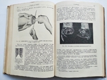 1938 Курс оперативной хирургии В.Шевкуненко 1-й том, фото №11