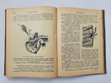 1903 р. Людина і тваринний світ, фото №6