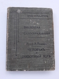 1903 р. Людина і тваринний світ, фото №12