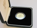 250 гривень 1996 р. Оранта (15,55 г. 999,9), фото №5
