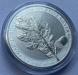 1-я в серии Мифический лес Дубовый лист 2019 Germania Mint, фото №10