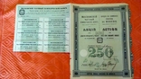 Московский Частный Коммерческий банк акция 250 рублей с купонами Москва 1912, фото №3