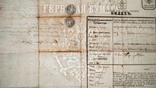 Билет Екатеринослав губернатор паспорт музыканту гербовая бумага 40 коп 1876, фото №9