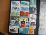 103 гашеных марок СССР на разную тематику., фото №4