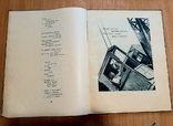 Книги 1930 летчики Аэрофлот Безыменский, фото №8