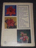 Д. Ф. Юхимчук - Комнатное цветоводство 1979 год, фото №9