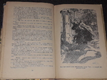 Р. Фраерман - Дикая собака Динго или повесть о первой любви 1971 год, фото №9