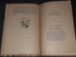 Р. Фраерман - Дикая собака Динго или повесть о первой любви 1971 год, фото №10