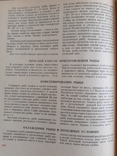 Настольная книга рыболов-спортсмена, фото №3