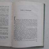 А.П. Чехов. Дама с собачкой. Человек в футляре. Попрыгунья. Душечка... 1979 г., фото №10