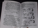Методичні вказівки до практикуму з фізіології людини і тварин 2003 рік, фото №8