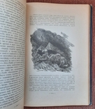 Eliseev A. V. Po belu - svetu. Essays and paintings from travels. Volume III. 1902., photo number 11