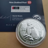 New Zealand Срібна монета Пінгвін чубатий 2020 1 унція, фото №12