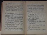 Семен Наріньяні - З сірником навколо сонця, 1978, фото №7