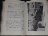 Д. В. Павлов - Ленинград в блокаде (1941 год) 1958 год, фото №9