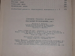 А. С. Пушкін - Вибрані твори в двох томах. 1970 рік, фото №11