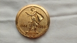 3959 настольная медаль легкий металл алюм 25 лет освобождения Кировограда 1944 1969, фото №2