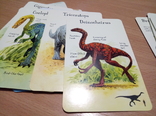 Dinosaurs Usborne Fact Cards, фото №2