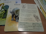 Dinosaurs Usborne Fact Cards, фото №6