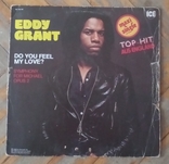 Пластинка Eddy Grant, numer zdjęcia 3