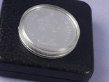1 доллар, Канада, 1979 год, 300 лет кораблю "Грифон", серебро, фирменный футляр, numer zdjęcia 6