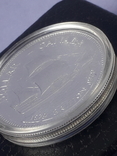 1 доллар, Канада, 1979 год, 300 лет кораблю "Грифон", серебро, фирменный футляр, фото №8