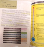 Д-р Д.Г.Хессайон Всё о комнатных растениях Москва 2000 г., фото №9