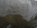Черноморский камень галька 52кг., фото №9