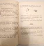 Э.Рубене Вязание и его техника Рига 1956 г., фото №6