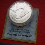 10 гривень 2012 р "Стерлядь прісноводна", фото №4