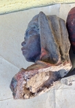 Скульптуры старые (головы), фото №11