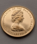 Набор из 4-х монет 1971 год Багамы золото 72,33 грама 917`, фото №6