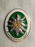WW2 немецкая медаль армейская элита Эдельвейс горный значок F 472копия, фото №2