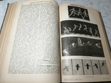 Энциклопедический словарь Брокгауз Ефрон 1896 год том 38, фото №5