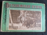 1957г.Белавежская Пушча.вид.Мінск.Альбом.74лис.Т.10000экз.22.5х15см., фото №2