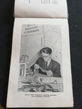 1957г.Белавежская Пушча.вид.Мінск.Альбом.74лис.Т.10000экз.22.5х15см., фото №7