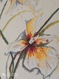 Орхідея, фото №3