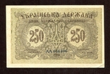 250 крб, 1918, канарейка, aUNC, фото №3