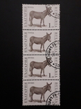 Сцепка марок Болгария 1991 г., фото №2