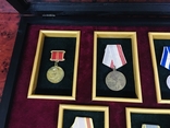 Рамка для орденов и медалей на семь медалей или орденов, фото №6