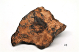 Найбільша приватна метеоритна колекція в Україні (100 експонатів), фото №3