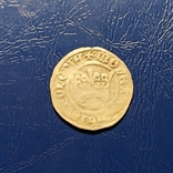 Монета-Ягеллончик, фото №2