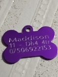 Dog Tag, photo number 2