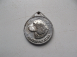 Медаль на собаку .Ньюфаундленд Охотничьи Собаки, фото №6