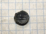 Монеты Ольвия (6), фото №5