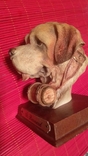 Фигурка статуэтка сувенир собака пес порода сербернар st bernard, фото №2